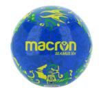 5827115.jpg